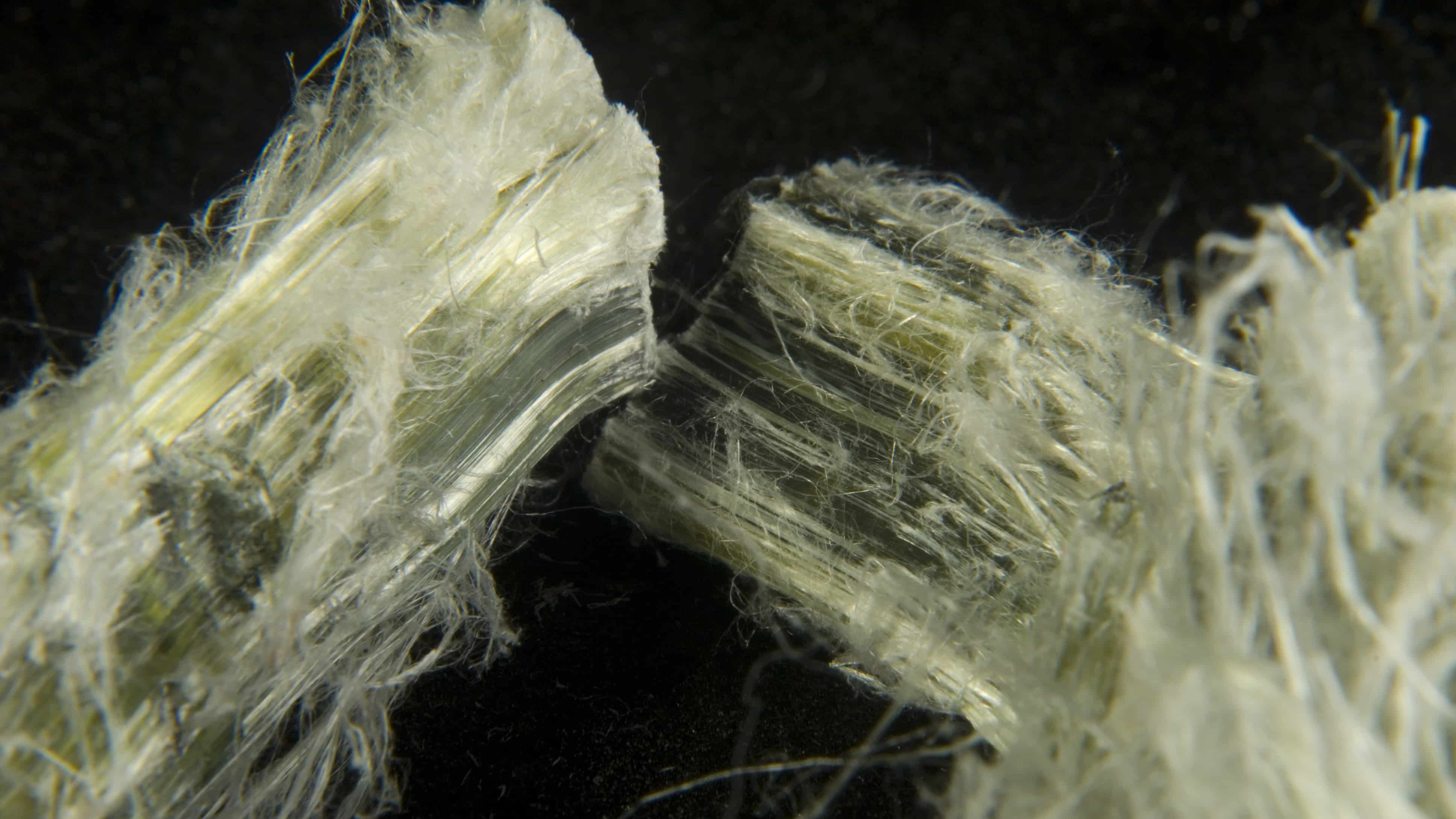 How Many Types of Asbestos Training Are There?
